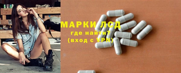 PSILOCYBIN Новодвинск