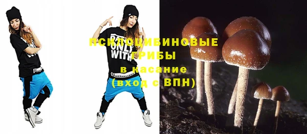 ешки Новокубанск