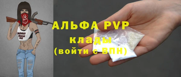 PSILOCYBIN Новодвинск