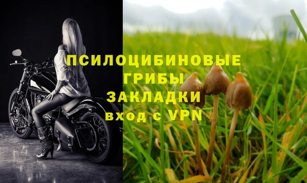 мескалин Новозыбков