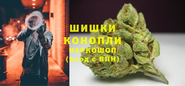 PSILOCYBIN Новодвинск